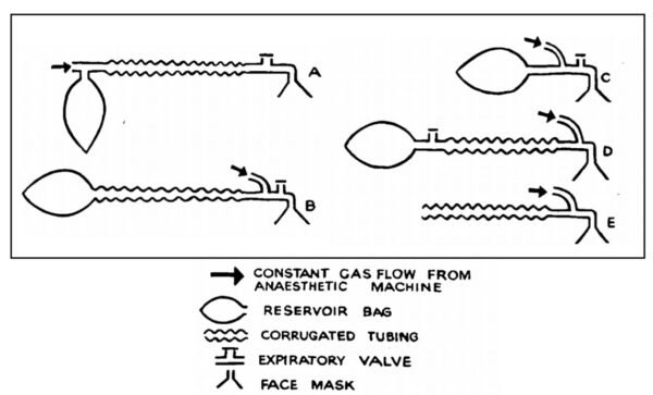 mapleson-breathing-circuits